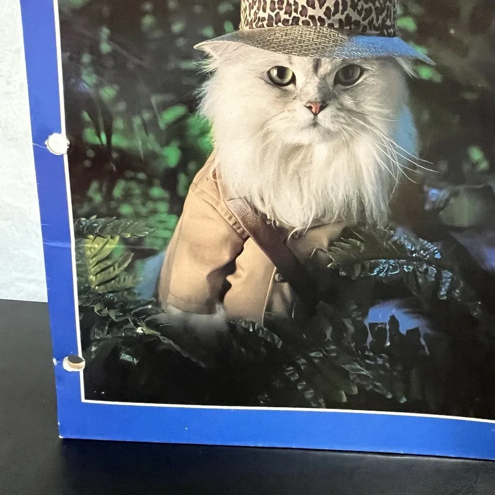 Vintage Cat Folders Stuart Hall 1993 Kittens Animal School Supplies 90s Retro